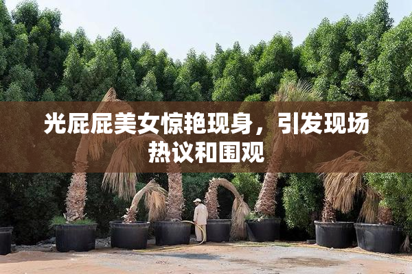 光屁屁美女惊艳现身，引发现场热议和围观