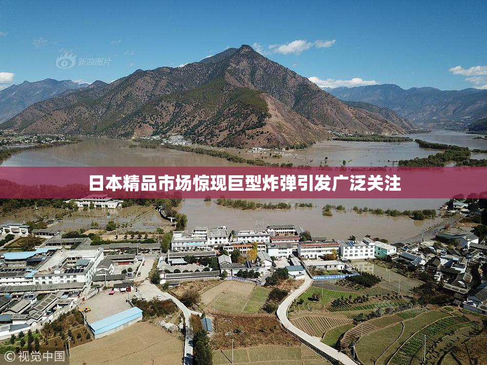 日本精品市场惊现巨型炸弹引发广泛关注