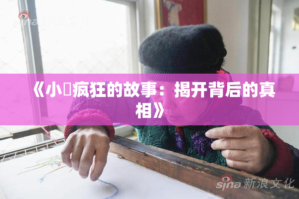 《小泬疯狂的故事：揭开背后的真相》