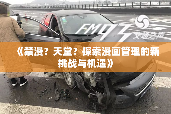 《禁漫？天堂？探索漫画管理的新挑战与机遇》