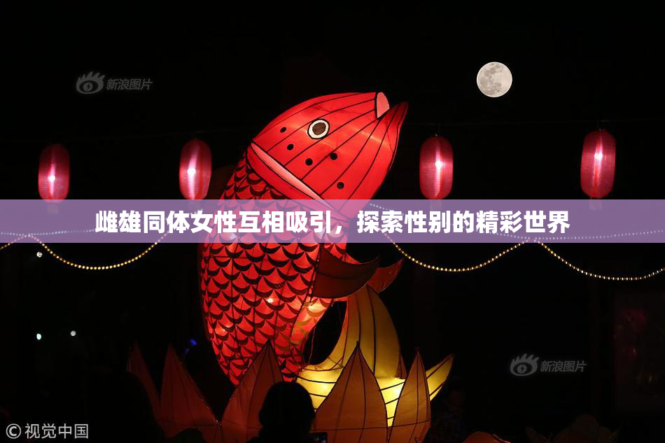 雌雄同体女性互相吸引，探索性别的精彩世界