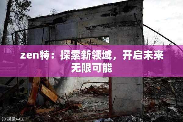 zen特：探索新领域，开启未来无限可能