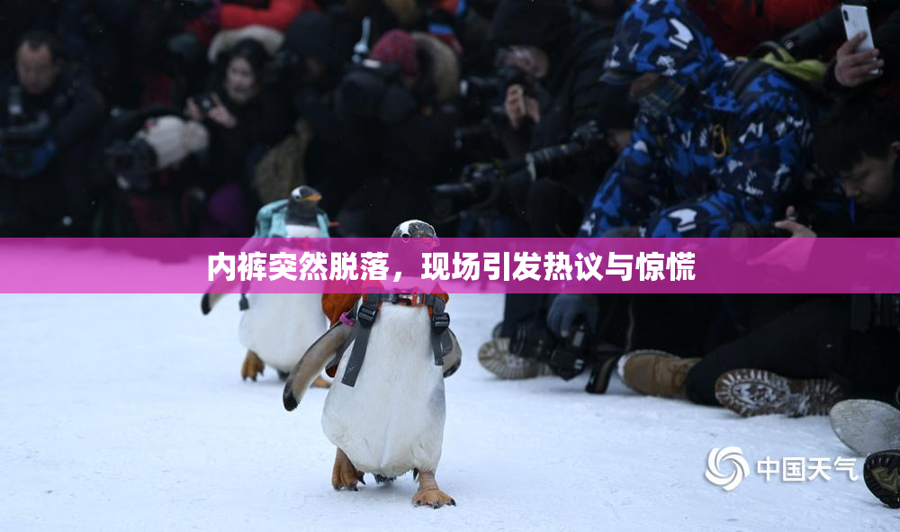 内裤突然脱落，现场引发热议与惊慌