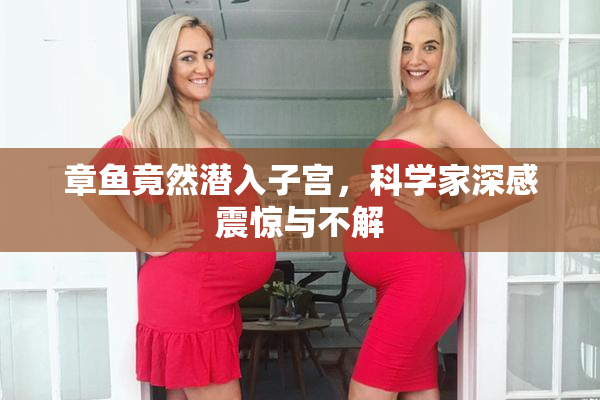 章鱼竟然潜入子宫，科学家深感震惊与不解