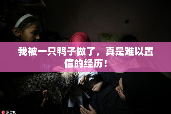我被一只鸭子做了，真是难以置信的经历！