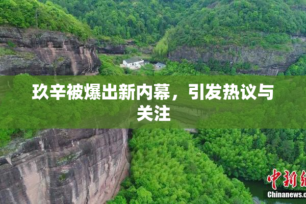 玖辛被爆出新内幕，引发热议与关注