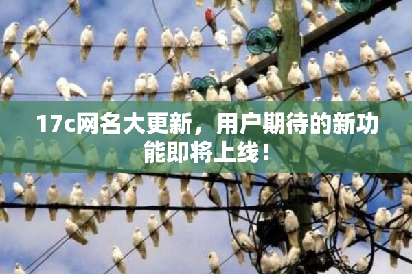17c网名大更新，用户期待的新功能即将上线！
