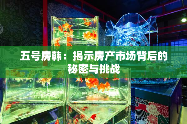 五号房韩：揭示房产市场背后的秘密与挑战