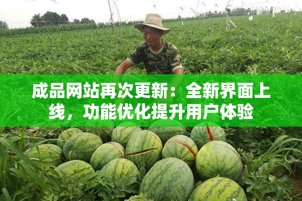成品网站再次更新：全新界面上线，功能优化提升用户体验