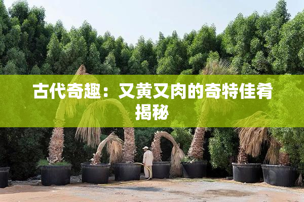 古代奇趣：又黄又肉的奇特佳肴揭秘