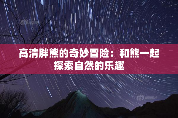 高清胖熊的奇妙冒险：和熊一起探索自然的乐趣