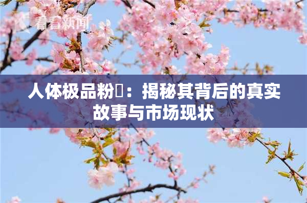 人体极品粉鮑：揭秘其背后的真实故事与市场现状