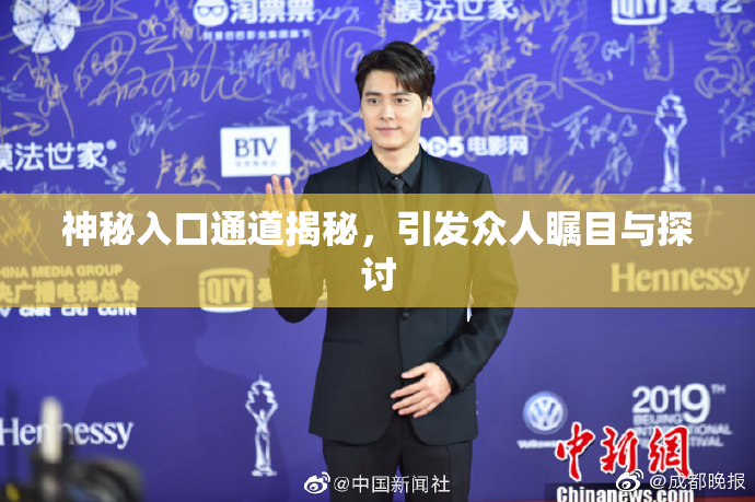 神秘入口通道揭秘，引发众人瞩目与探讨