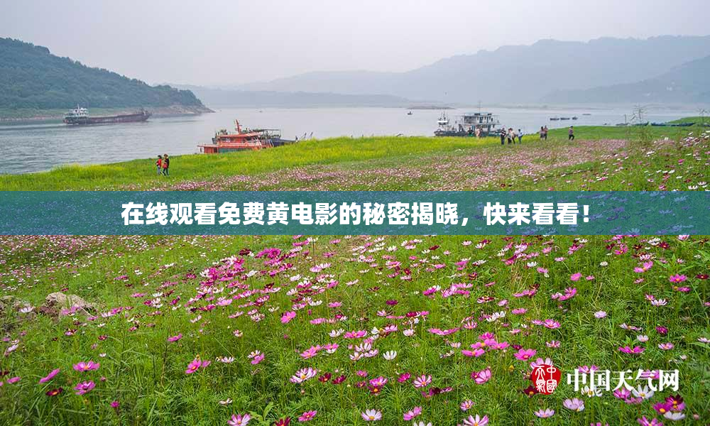 在线观看免费黄电影的秘密揭晓，快来看看！