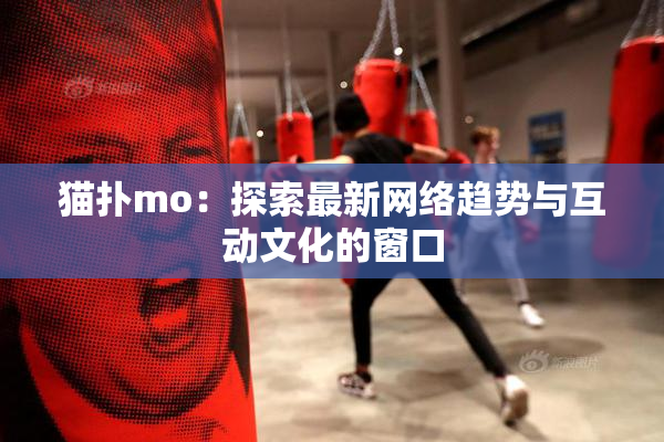 猫扑mo：探索最新网络趋势与互动文化的窗口