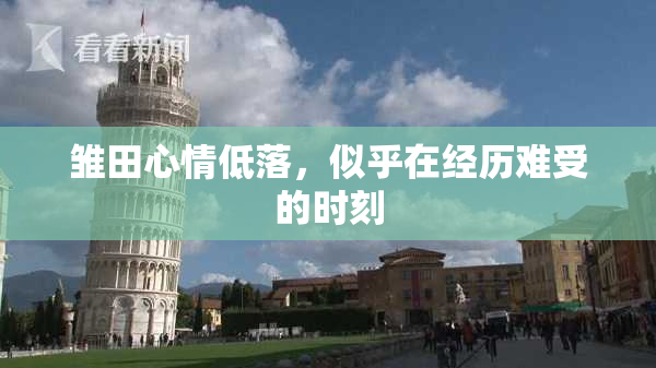雏田心情低落，似乎在经历难受的时刻