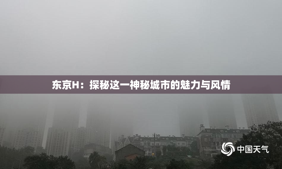 东京H：探秘这一神秘城市的魅力与风情