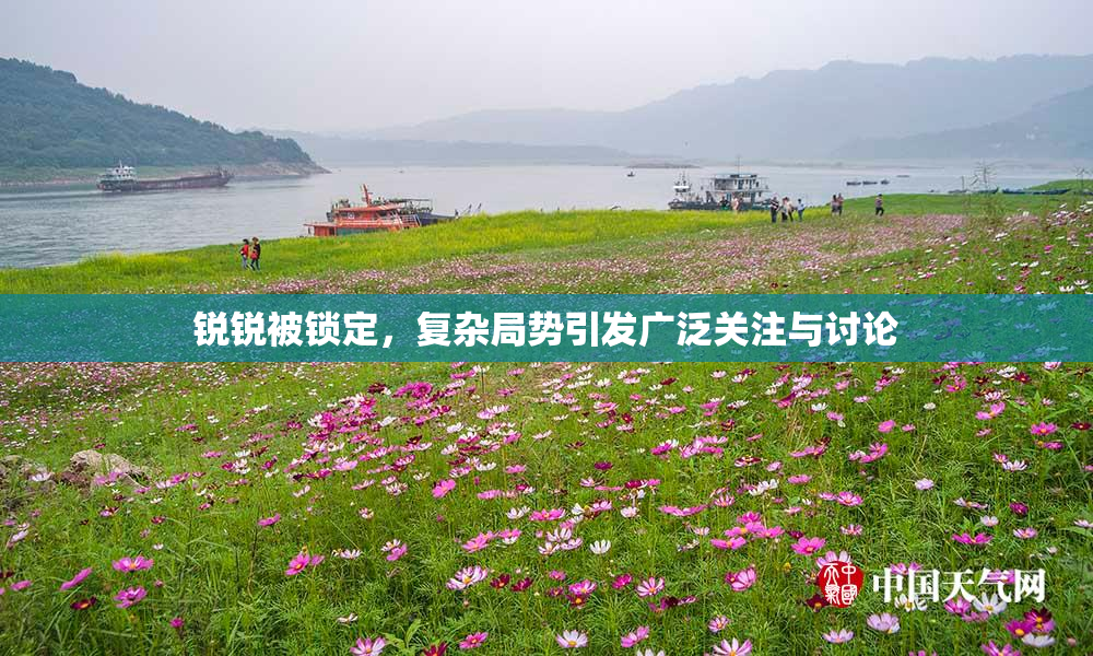 锐锐被锁定，复杂局势引发广泛关注与讨论