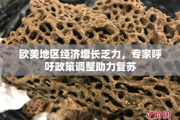 欧美地区经济增长乏力，专家呼吁政策调整助力复苏