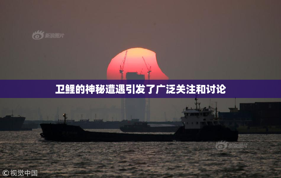 卫鲤的神秘遭遇引发了广泛关注和讨论