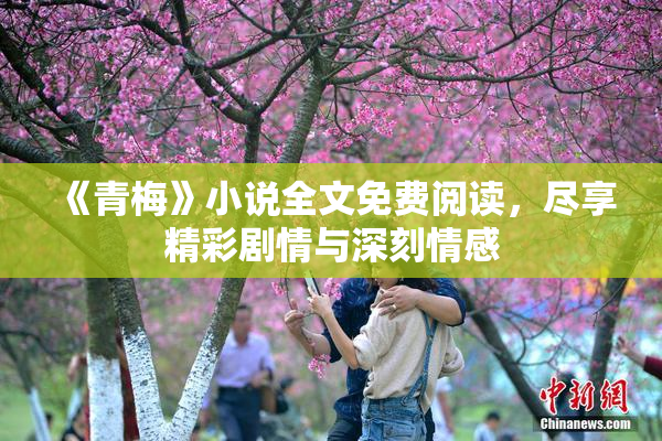 《青梅》小说全文免费阅读，尽享精彩剧情与深刻情感