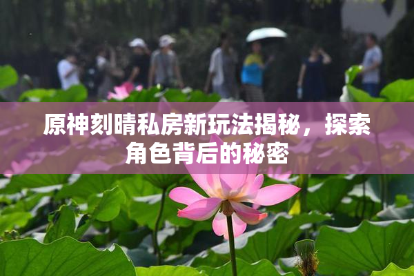 原神刻晴私房新玩法揭秘，探索角色背后的秘密