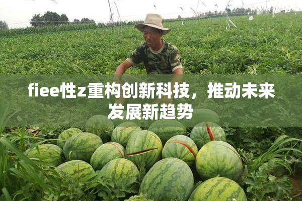fiee性z重构创新科技，推动未来发展新趋势