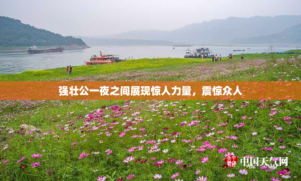 强壮公一夜之间展现惊人力量，震惊众人
