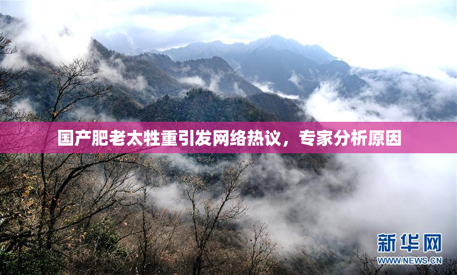 国产肥老太牲重引发网络热议，专家分析原因