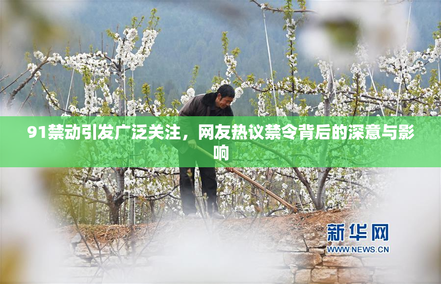 91禁动引发广泛关注，网友热议禁令背后的深意与影响
