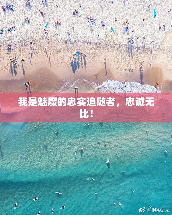 我是魅魔的忠实追随者，忠诚无比！