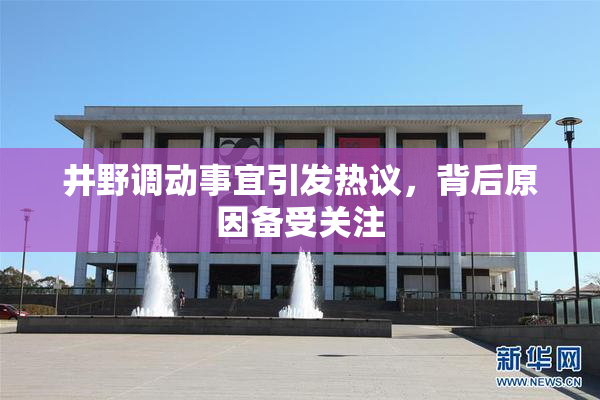 井野调动事宜引发热议，背后原因备受关注