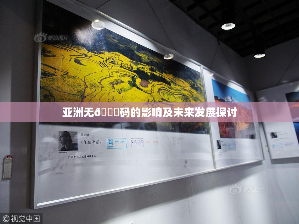 亚洲无🈚码的影响及未来发展探讨