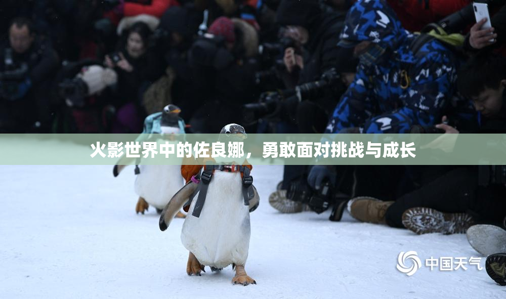 火影世界中的佐良娜，勇敢面对挑战与成长