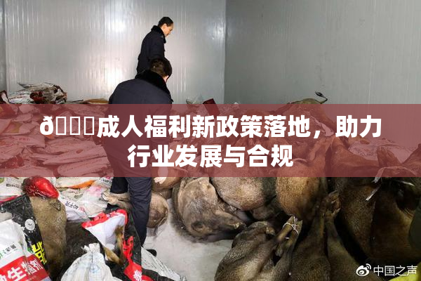 🔞成人福利新政策落地，助力行业发展与合规