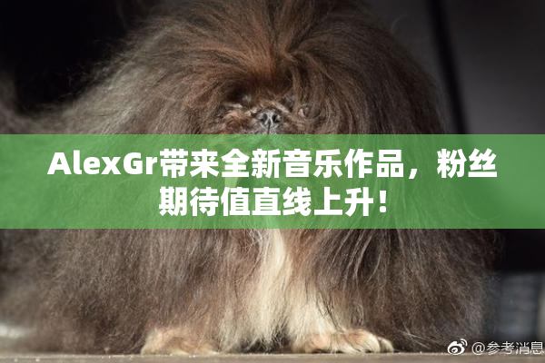 AlexGr带来全新音乐作品，粉丝期待值直线上升！