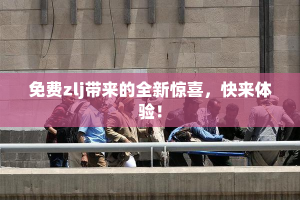 免费zlj带来的全新惊喜，快来体验！