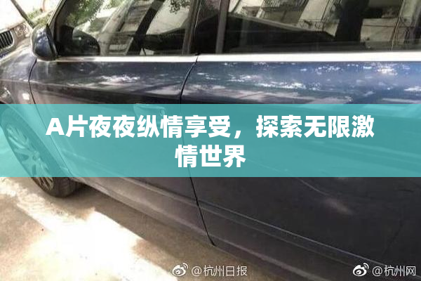 A片夜夜纵情享受，探索无限激情世界
