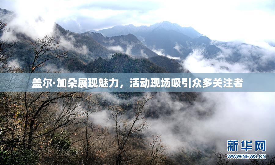 盖尔·加朵展现魅力，活动现场吸引众多关注者