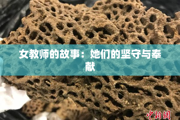 女教师的故事：她们的坚守与奉献