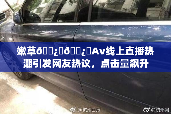 嫩草🌿‌🌿‌Av线上直播热潮引发网友热议，点击量飙升