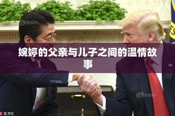 婉婷的父亲与儿子之间的温情故事