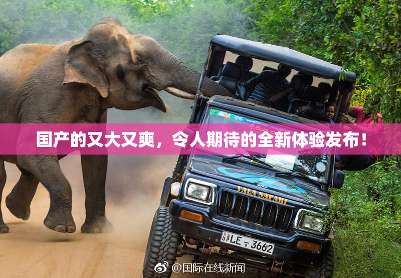 国产的又大又爽，令人期待的全新体验发布！