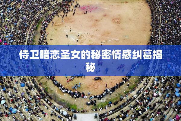 侍卫暗恋圣女的秘密情感纠葛揭秘