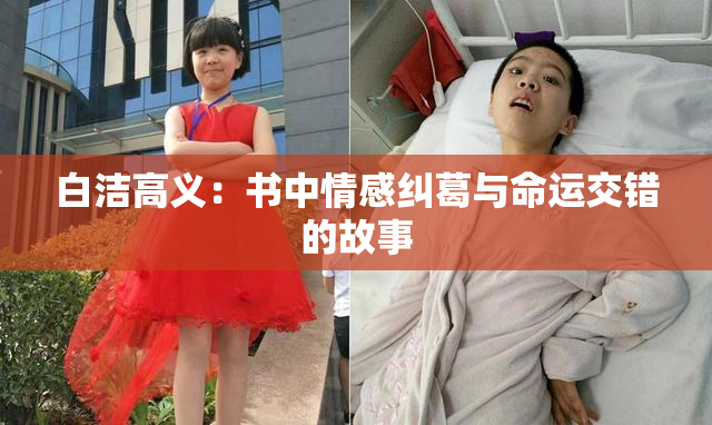 白洁高义：书中情感纠葛与命运交错的故事