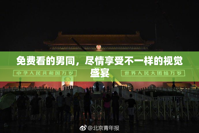 免费看的男同，尽情享受不一样的视觉盛宴