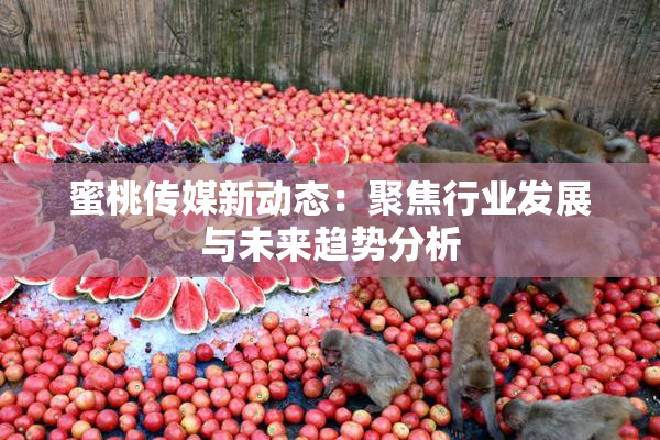 蜜桃传媒新动态：聚焦行业发展与未来趋势分析