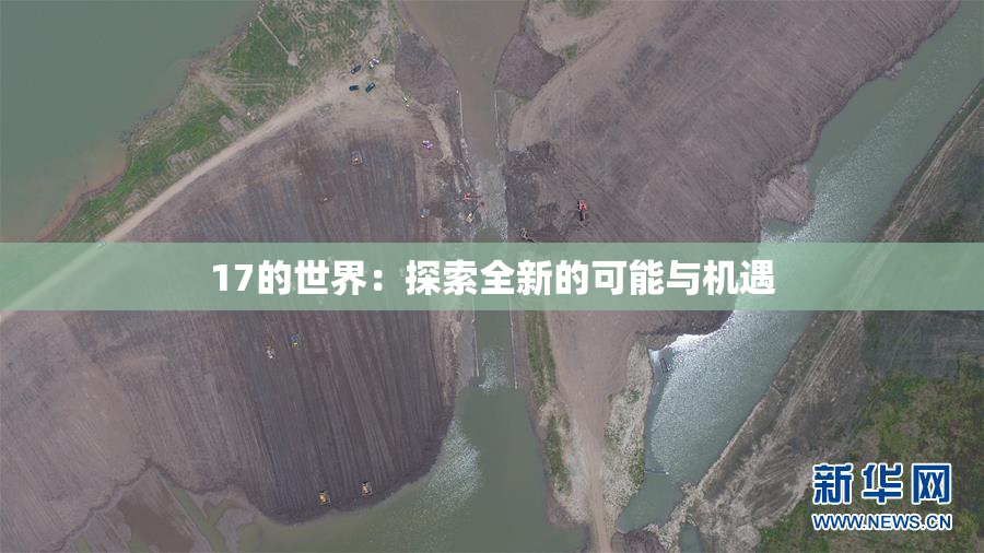 17的世界：探索全新的可能与机遇