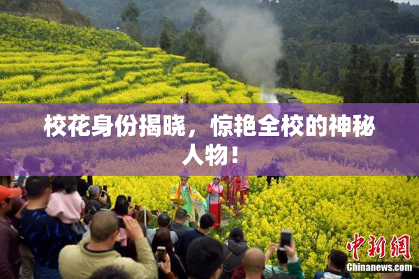 校花身份揭晓，惊艳全校的神秘人物！