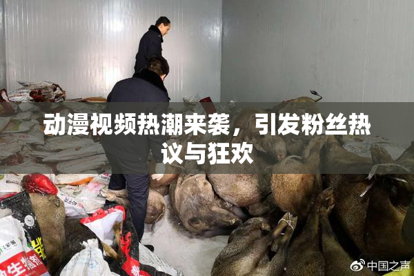 动漫视频热潮来袭，引发粉丝热议与狂欢